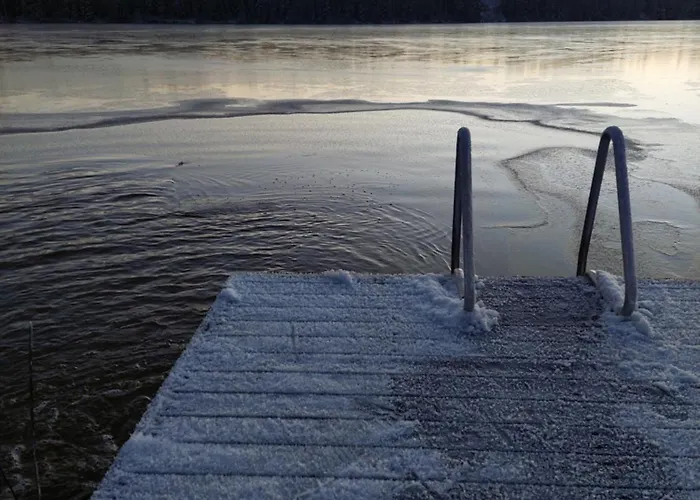 Apteekkarinmoekki